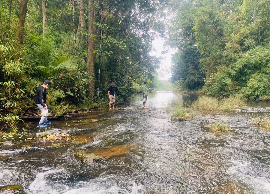 Gần đỉnh thác là một con suối nhỏ phủ dày rêu xanh. Ảnh: V.T.T