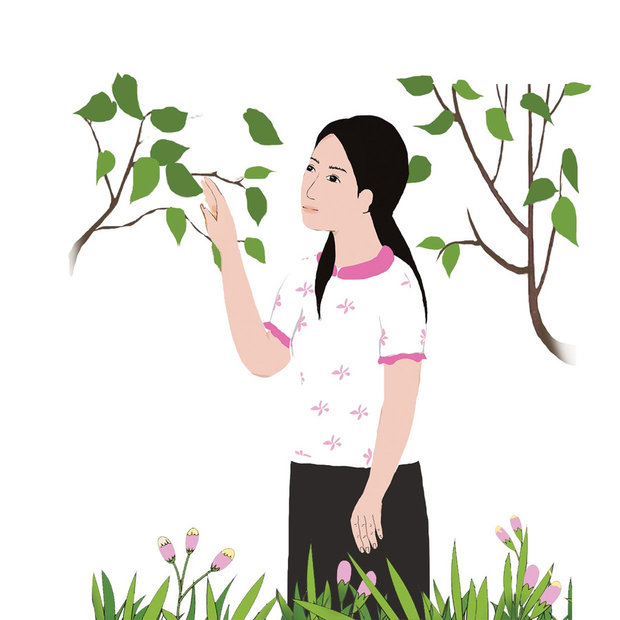 Minh họa: H.T Minh họa: H.T