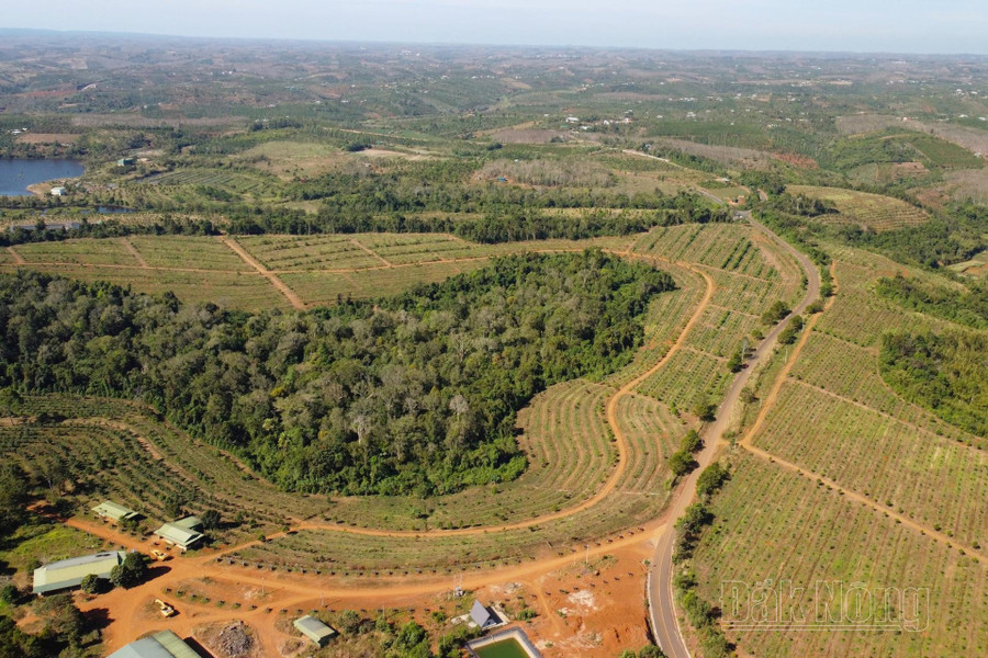 Đắk Nông có hàng chục dự án cần phải hoàn thiện hồ sơ thuê rừng nhưng chỉ duy nhất 1 dự án đã hoàn thiện hồ sơ Đắk Nông có hàng chục dự án cần phải hoàn thiện hồ sơ thuê rừng nhưng chỉ duy nhất 1 dự án đã hoàn thiện hồ sơ
