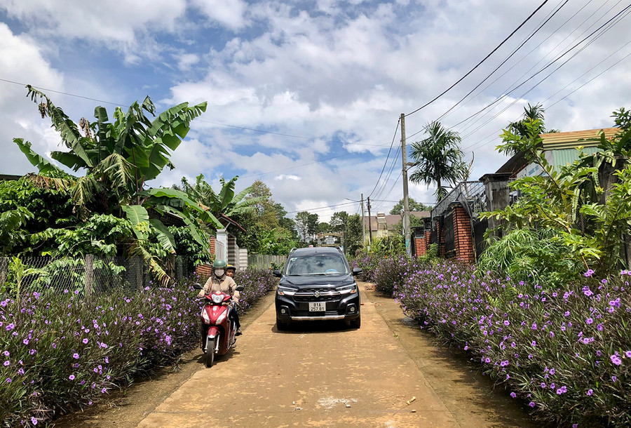 Con đường hoa đẹp mắt ở làng Ia Nueng. Ảnh: Lê Nam