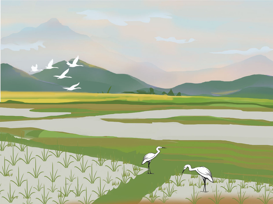 Minh họa: H.T Minh họa: H.T