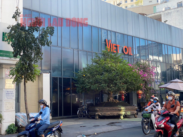 Một cơ sở khác của Xuyên Việt Oil trên đường Lý Chính Thắng, quận 3, TP HCM vẫn còn bảng hiệu Một cơ sở khác của Xuyên Việt Oil trên đường Lý Chính Thắng, quận 3, TP HCM vẫn còn bảng hiệu
