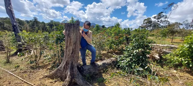 Hạt Kiểm lâm H.Kon Plông đã phát hiện 11 dự án đầu tư vi phạm trong lĩnh vực lâm nghiệp. Ảnh: ĐỨC NHẬT