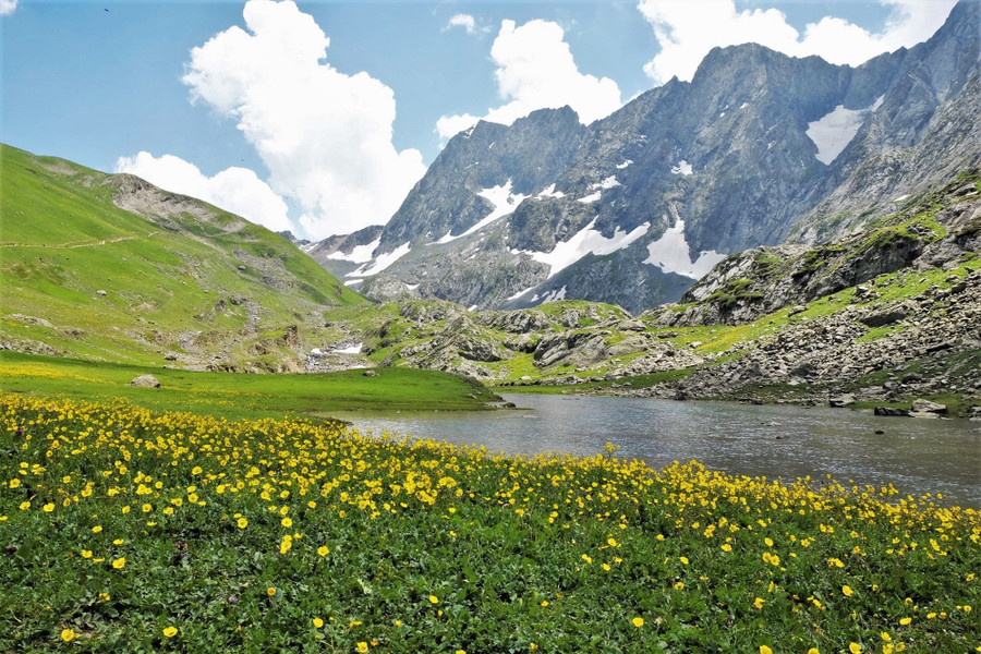Thảm hoa vàng trải dài miên man trên đường trek KGL đẹp hớp hồn. Hiện tại không có các đơn vị tổ chức tour chuyên nghiệp, trọn gói từ Việt Nam, khách muốn đi KGL hoặc các cung trek khác ở Kashmir hầu như tự tìm kiếm thông tin, ghép nhóm tại Ấn Độ.