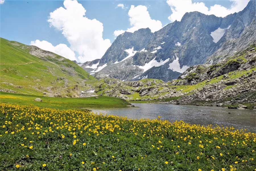 Thảm hoa vàng trải dài miên man trên đường trek KGL đẹp hớp hồn. Hiện tại không có các đơn vị tổ chức tour chuyên nghiệp, trọn gói từ Việt Nam, khách muốn đi KGL hoặc các cung trek khác ở Kashmir hầu như tự tìm kiếm thông tin, ghép nhóm tại Ấn Độ.