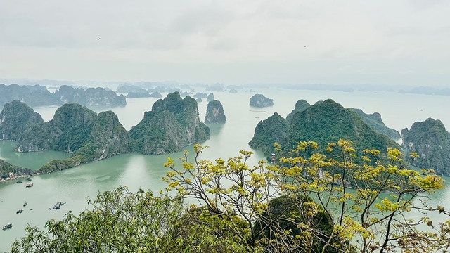 Vịnh Hạ Long - quần đảo Cát Bà trở thành di sản liên vùng đầu tiên tại Việt Nam được UNESCO ghi danh