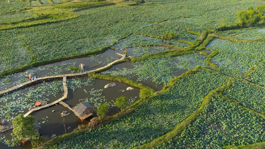 Để đến đầm sen Trà Lý, du khách theo Quốc lộ 1 đến TT.Nam Phước (H.Duy Xuyên, Quảng Nam). Từ đây, có thể hỏi đường lên xã Duy Sơn, cư dân địa phương sẽ chỉ dẫn tận tình. Ảnh: Nguyễn Trình Để đến đầm sen Trà Lý, du khách theo Quốc lộ 1 đến TT.Nam Phước (H.Duy Xuyên, Quảng Nam). Từ đây, có thể hỏi đường lên xã Duy Sơn, cư dân địa phương sẽ chỉ dẫn tận tình. Ảnh: Nguyễn Trình