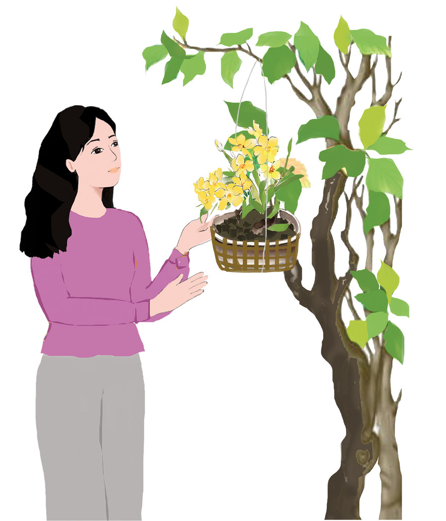 Minh họa: Huyền Trang