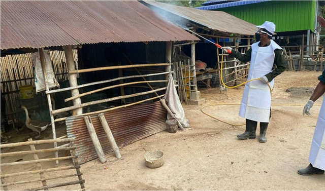 Lực lượng chức năng khử khuẩn một khu vực chuồng gia cầm tại Campuchia. ẢNH CHỤP MÀN HÌNH KHMER TIMES Lực lượng chức năng khử khuẩn một khu vực chuồng gia cầm tại Campuchia. ẢNH CHỤP MÀN HÌNH KHMER TIMES