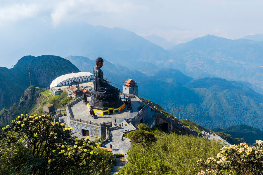 Hoa đỗ quyên có ở nhiều tỉnh miền núi phía bắc như Lai Châu, Yên Bái, Hà Giang, Lạng Sơn… nhưng nở nhiều nhất, rực rỡ nhất với những chùm hoa lớn nhiều sức sống phải là hoa đỗ quyên ở Fansipan