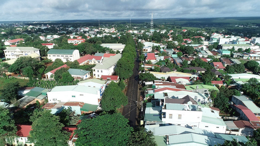 Cây cao su làm thay đổi diện mạo huyện Chư Prông. Ảnh: Vĩnh Hoàng