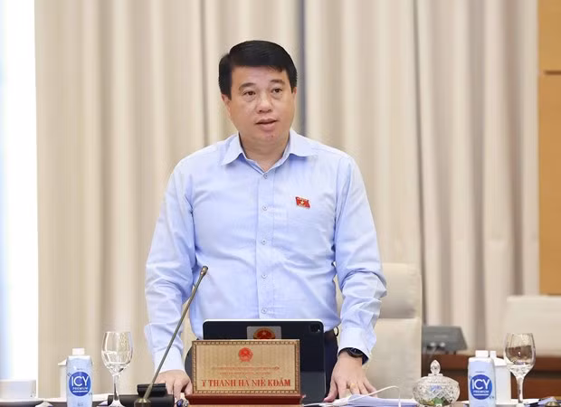 Chủ tịch Hội đồng Dân tộc của Quốc hội Y Thanh Hà Niê Kđăm. (Ảnh: Doãn Tấn/TTXVN)