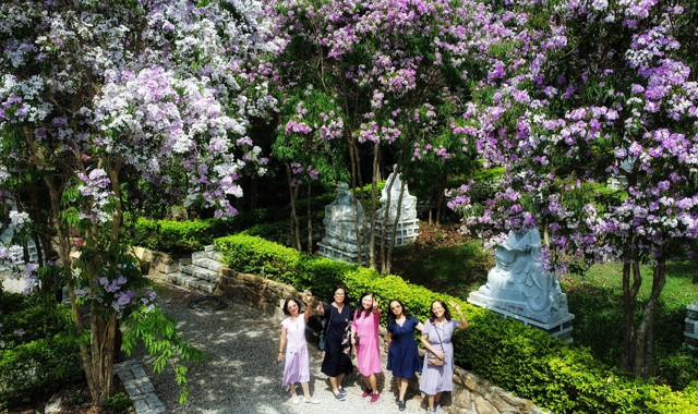 Những bức tượng, con đường trong chùa trở nên đẹp hơn khi mùa hoa bằng lăng nở rộ. Ảnh: PHẠM BÁ DUY