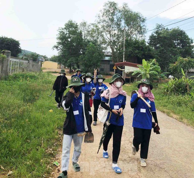 Thanh niên tình nguyện giúp người dân vặt chồi, làm cỏ cà phê ảnh 7