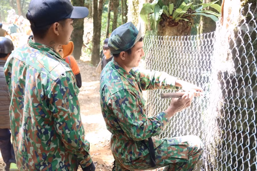 Lưới sắt được quây kín vườn, để chống trộm. Ảnh: HỮU PHÚC