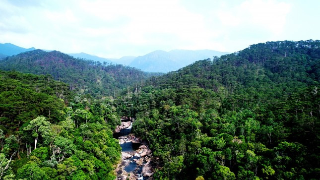 Vườn quốc gia Chư Yang Sin nổi tiếng với vẻ đẹp hoang sơ. Ảnh: nnptnt.daklak.gov.vn Vườn quốc gia Chư Yang Sin nổi tiếng với vẻ đẹp hoang sơ. Ảnh: nnptnt.daklak.gov.vn