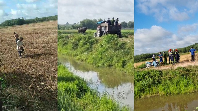 Lực lượng chức năng có mặt tại cánh đồng tiến hành bắn hạ con trâu húc ông M. tử vong. CẮT TỪ CLIP