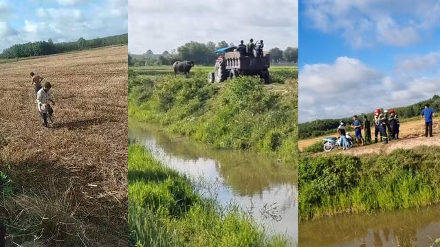 Lực lượng chức năng có mặt tại cánh đồng tiến hành bắn hạ con trâu húc ông M. tử vong. CẮT TỪ CLIP