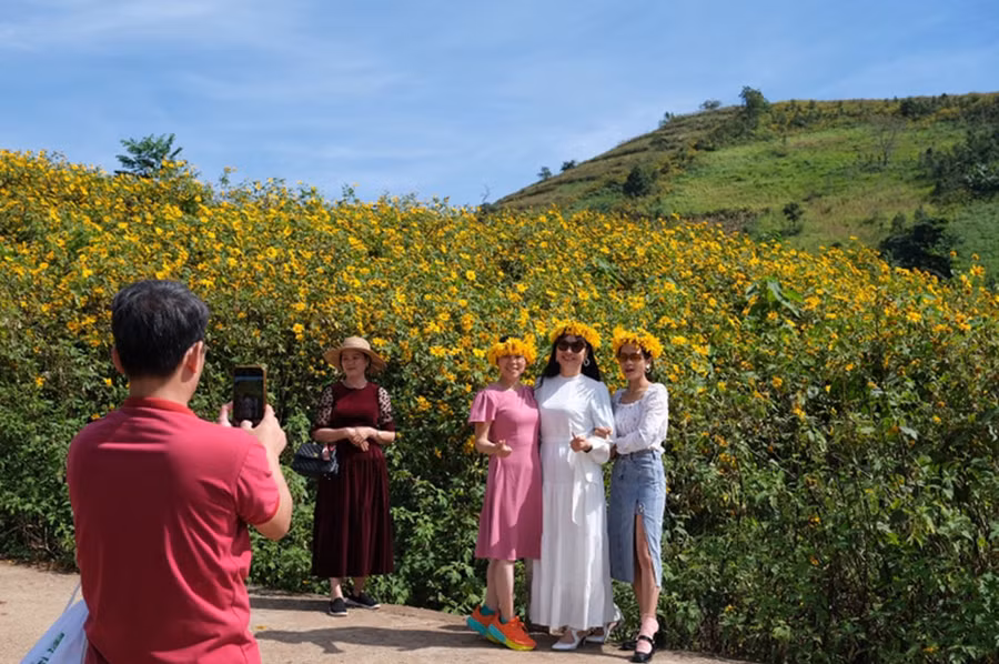 Tuần lễ hoa dã quỳ-núi lửa Chư Đang Ya năm 2023 thu hút trên 100 ngàn lượt du khách đến tham quan, trải nghiệm. Ảnh: Hoàng Ngọc