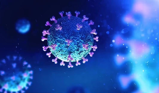 Tại Mỹ, JN.1 chiếm đến 62% số ca nhiễm Covid-19 gần đây. Ảnh: Shutterstock