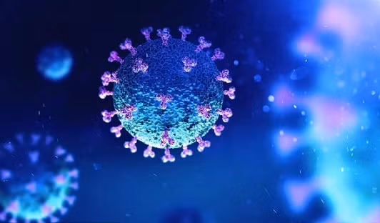 Tại Mỹ, JN.1 chiếm đến 62% số ca nhiễm Covid-19 gần đây. Ảnh: Shutterstock