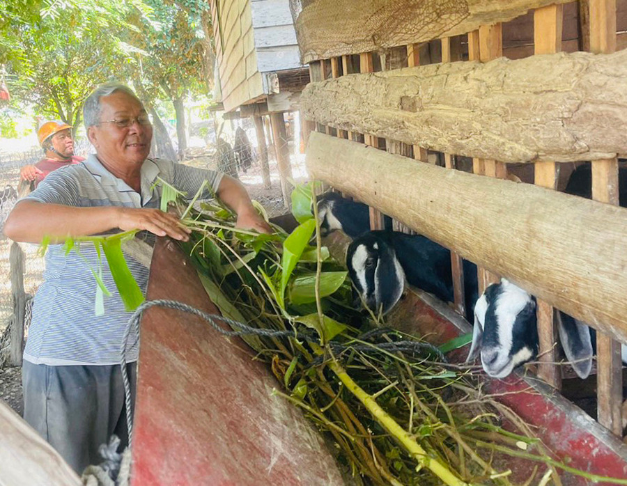Mô hình chăn nuôi dê của người dân xã Ia Rbol mang lại hiệu quả kinh tế cao. Ảnh: V.C