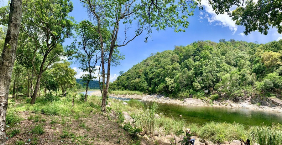 Phong cảnh hữu tình bên bờ suối