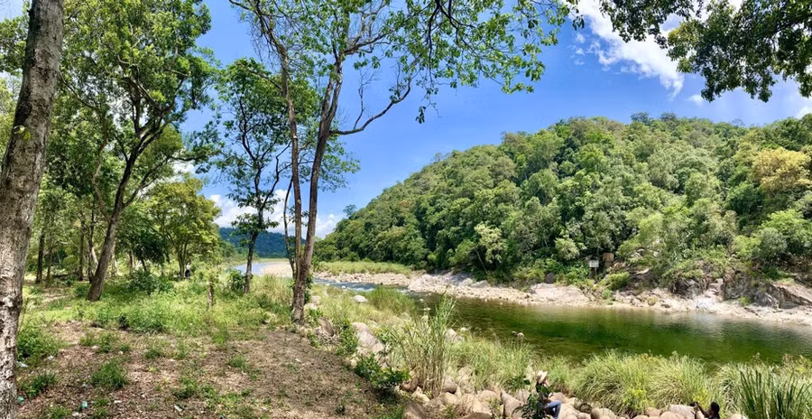 Phong cảnh hữu tình bên bờ suối