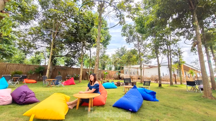 Không chỉ là địa điểm để thư giãn, thưởng thức đồ uống, nhiều quán cà phê ở thành phố đã cất công đầu tư trang trí quán theo phong cách đẹp, độc lạ khác nhau để khách hàng thỏa sức chụp hình “sống ảo”.