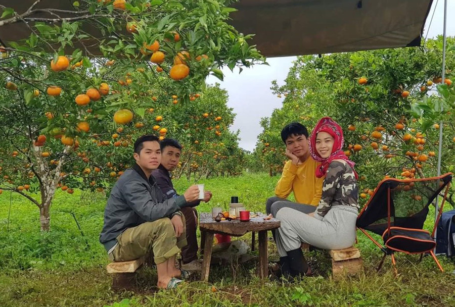 Vườn cam Đường Canh trĩu quả của gia đình anh Nguyễn Đức Mạnh (thứ 2 từ trái sang, thôn Hợp Thành, xã Sơn Lang, huyện Kbang) thu hút khách tham quan, trải nghiệm (ảnh nhân vật cung cấp). Vườn cam Đường Canh trĩu quả của gia đình anh Nguyễn Đức Mạnh (thứ 2 từ trái sang, thôn Hợp Thành, xã Sơn Lang, huyện Kbang) thu hút khách tham quan, trải nghiệm (ảnh nhân vật cung cấp).