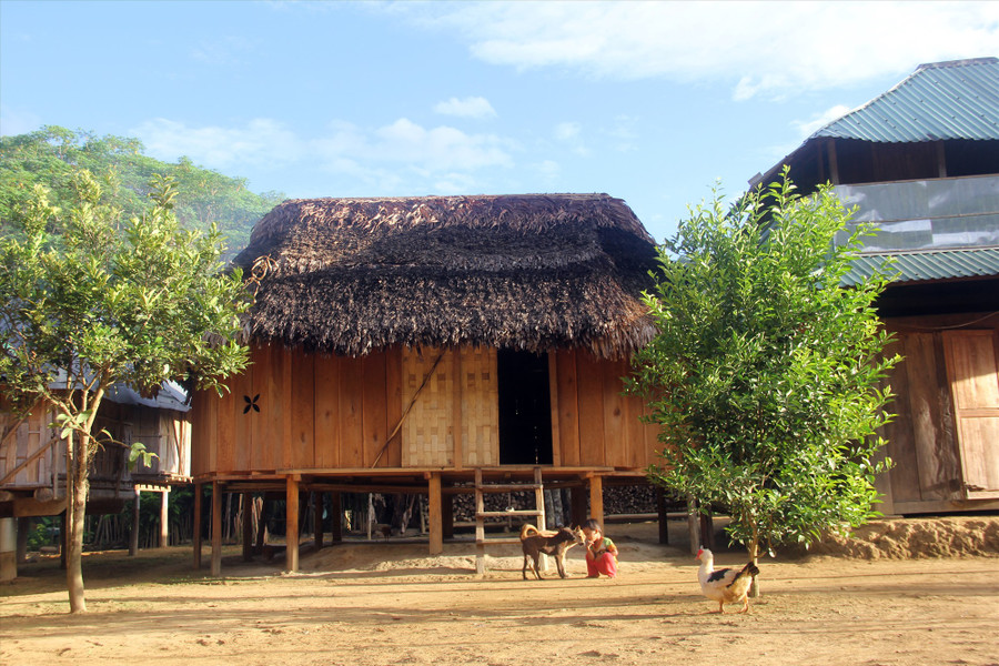 Nhịp sống thanh bình ở Aur, ngôi làng biệt lập giữa rừng già. Ảnh: C.N