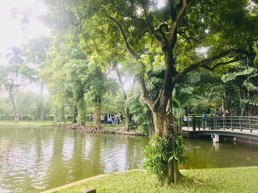 Không gian xanh mát, thanh bình trong Khu di tích Chủ tịch Hồ Chí Minh tại Phủ Chủ tịch. Ảnh: Bích Hà Không gian xanh mát, thanh bình trong Khu di tích Chủ tịch Hồ Chí Minh tại Phủ Chủ tịch. Ảnh: Bích Hà