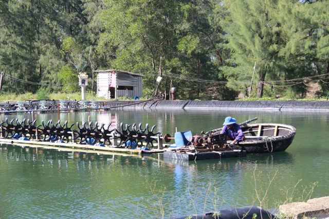 Nuôi trồng thủy sản tại Quảng Trị (ảnh nguồn baotainguyenmoitruong) Nuôi trồng thủy sản tại Quảng Trị (ảnh nguồn baotainguyenmoitruong)