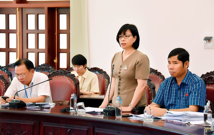 Phó chủ tịch UBND tỉnh Nguyễn Thị Thanh Lịch tham gia phát biểu tại buổi thảo luận tổ. Ảnh: Đức Thụy