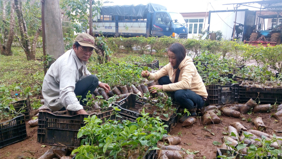 Thay đổi nhận thức của cha mẹ về lựa chọn nghề nghiệp của con gái. Ảnh: HL Thay đổi nhận thức của cha mẹ về lựa chọn nghề nghiệp của con gái. Ảnh: HL