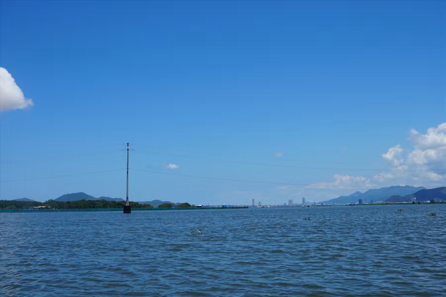 Đầm Thị Nại rộng 5.000ha với hệ thống rừng ngập mặn rộng hơn 1.000ha. Giữa đầm có 3 cồn nổi Cồn Chim, Cồn Trạng, Cồn Giá - gọi chung là khu sinh thái Cồn Chim.