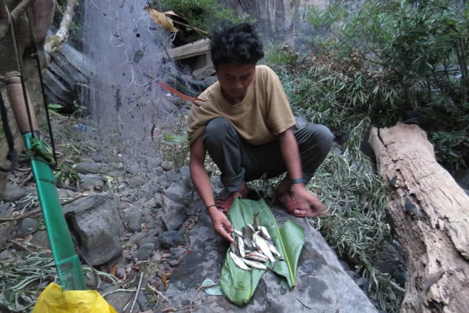 Người A rem vào rừng không bao giờ bị đói bởi sản vật rừng dồi dào.