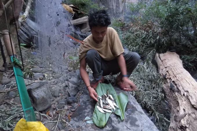 Người A rem vào rừng không bao giờ bị đói bởi sản vật rừng dồi dào.