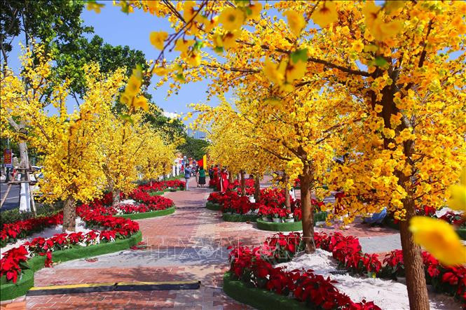 Đà Nẵng trang trí 21 điểm hoa đón Tết Nguyên đán 2024. Ảnh: Trần Lê Lâm/TTXVN Đà Nẵng trang trí 21 điểm hoa đón Tết Nguyên đán 2024. Ảnh: Trần Lê Lâm/TTXVN