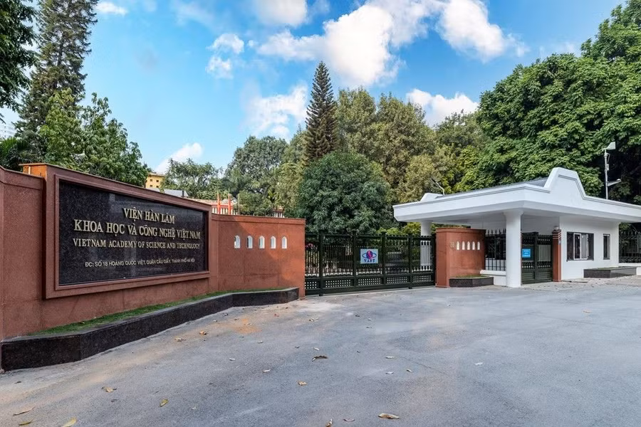 Ảnh nguồn internet