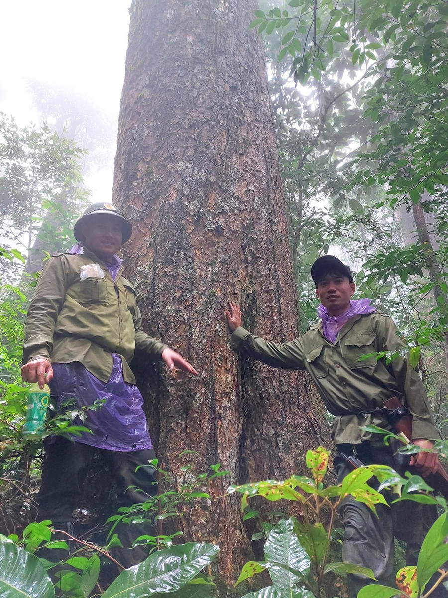 Lực lượng chức năng của Vườn Quốc gia Vũ Quang làm nhiệm vụ bảo vệ rừng.