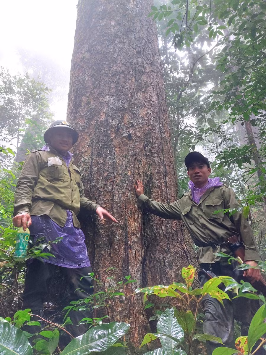 Lực lượng chức năng của Vườn Quốc gia Vũ Quang làm nhiệm vụ bảo vệ rừng.