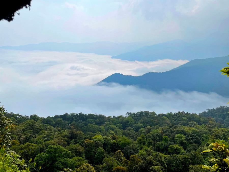 Sương trắng bồng bềnh ôm ấp núi rừng ở Vườn Quốc gia Vũ Quang.