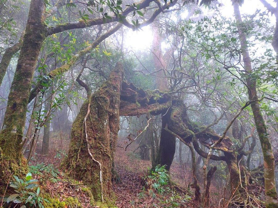 Vẻ đẹp thiên nhiên hoang sơ chưa có sự tác động của con người.