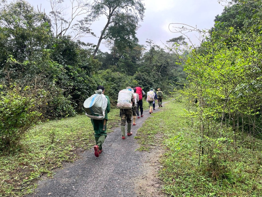 Cán bộ, nhân viên Vườn Quốc gia Vũ Quang làm nhiệm vụ đi tuần tra bảo vệ rừng.