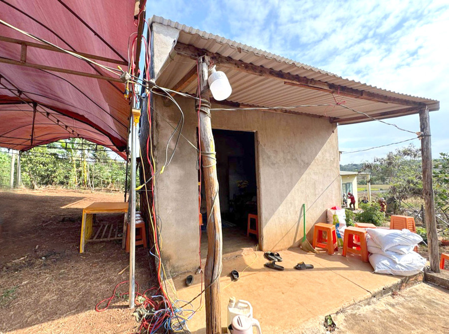 Căn nhà nhỏ trở nên trống vắng sau sự ra đi của anh Lê Thanh Tài (làng Lũh Ngó, xã Ia Hrú, huyện Chư Pưh). Ảnh: Phạm Quý Căn nhà nhỏ trở nên trống vắng sau sự ra đi của anh Lê Thanh Tài (làng Lũh Ngó, xã Ia Hrú, huyện Chư Pưh). Ảnh: Phạm Quý