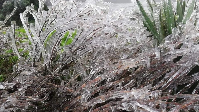 Cơ quan khí tượng cảnh báo nguy cơ xảy ra mưa tuyết, băng giá ảnh 1 Cơ quan khí tượng cảnh báo nguy cơ xảy ra mưa tuyết, băng giá ảnh 1