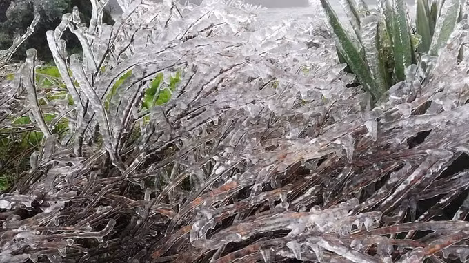 Cơ quan khí tượng cảnh báo nguy cơ xảy ra mưa tuyết, băng giá ảnh 1