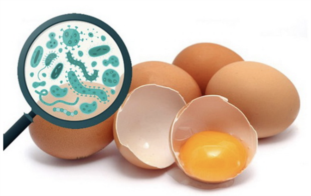 Nhiễm khuẩn là nguyên nhân chính gây ngộ độc thực phẩm sau tiệc Trung Thu tại chung cư Palm Heights, thành phố Thủ Đức. (Nguồn: Sở Y tế Thành phố Hồ Chí Minh) Nhiễm khuẩn là nguyên nhân chính gây ngộ độc thực phẩm sau tiệc Trung Thu tại chung cư Palm Heights, thành phố Thủ Đức. (Nguồn: Sở Y tế Thành phố Hồ Chí Minh)