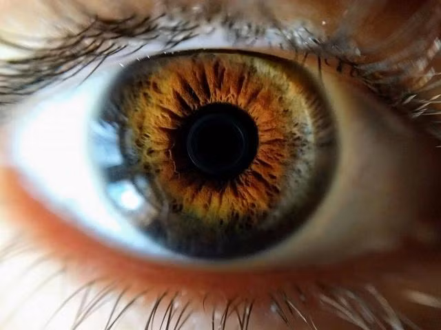 Huyết áp cao qua thời gian có thể làm tổn thương các mạch máu dẫn đến võng mạc và gây ra hàng loạt vấn đề về thị giác. Ảnh PEXELS Huyết áp cao qua thời gian có thể làm tổn thương các mạch máu dẫn đến võng mạc và gây ra hàng loạt vấn đề về thị giác. Ảnh PEXELS